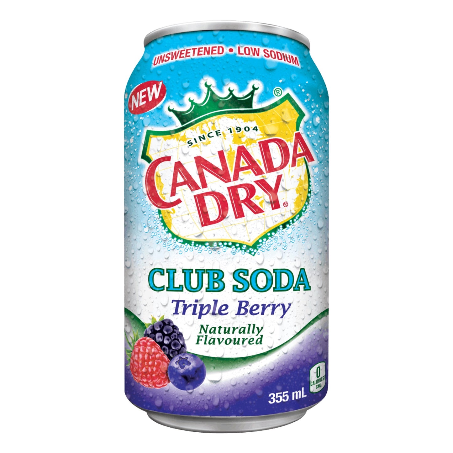 Canada Dry Club Soda Triple Berry Can